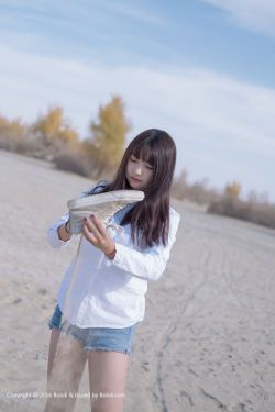 高斯奥特曼国语版