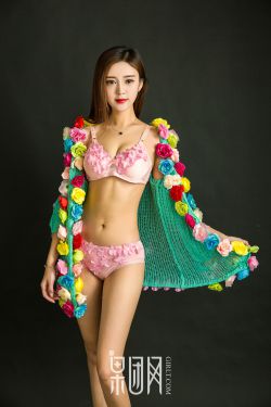 穆桂英挂帅电视剧